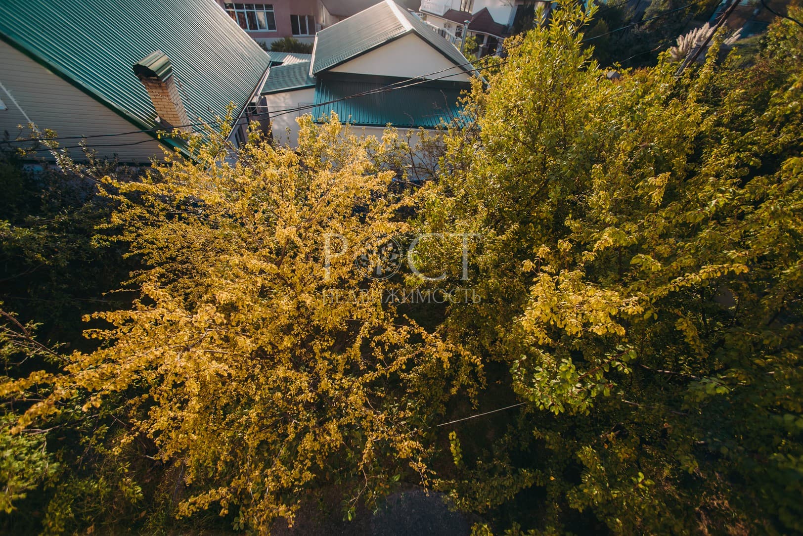 Фото объекта 87