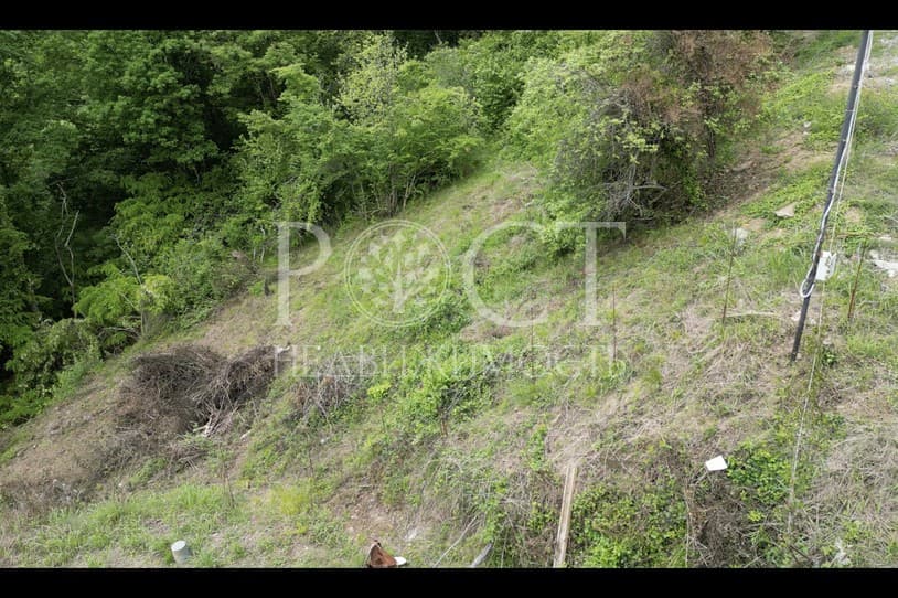 slide-5