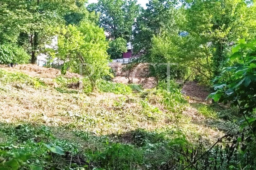 slide-4