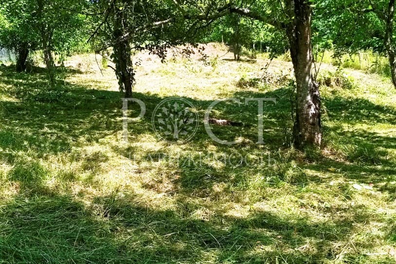 slide-3
