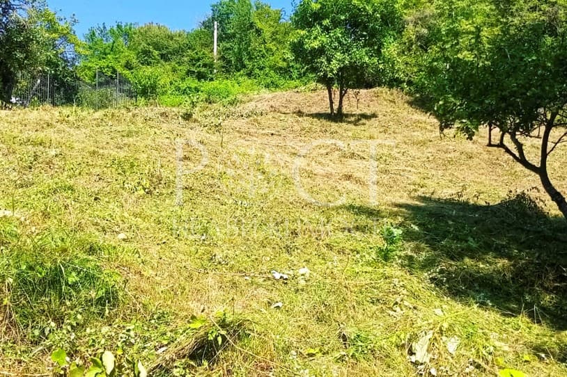 slide-4
