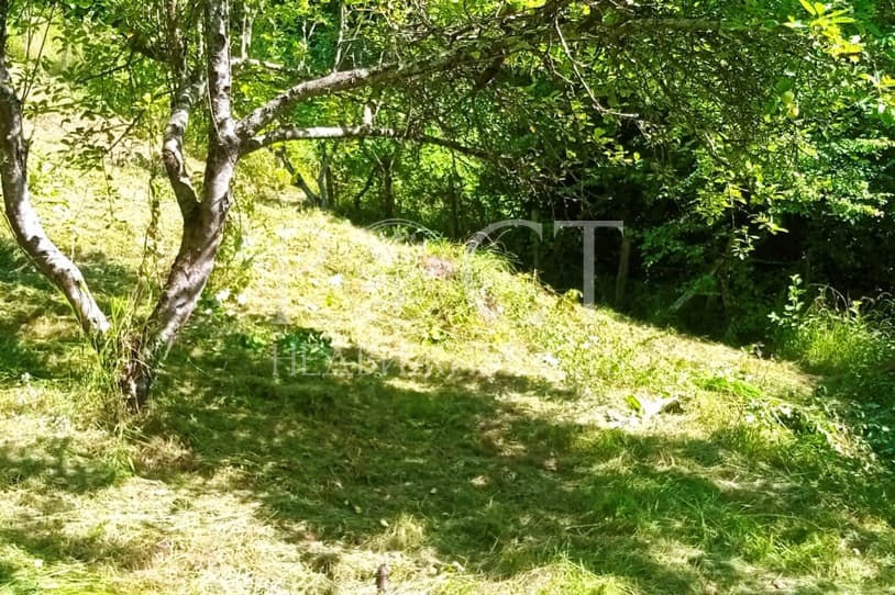 slide-4