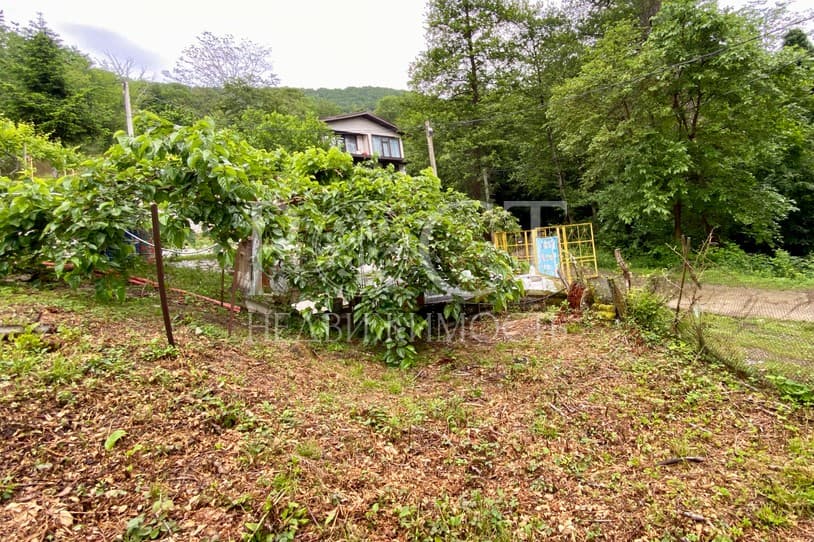 slide-4