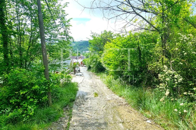 slide-1