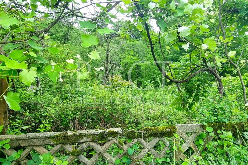 slide-5