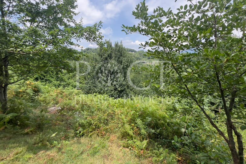 slide-2