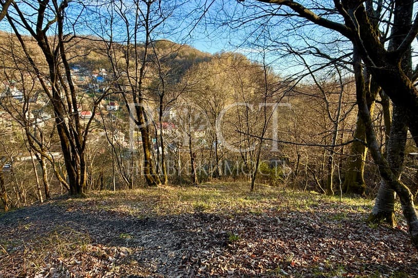 slide-3