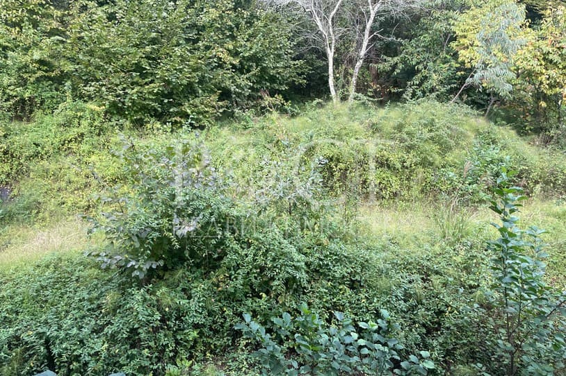 slide-3